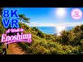 【8K VR】A Walk in Enosjima 1 #14