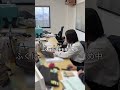 会社猫ふくの日常😸別れは寂しいですが新たな旅立ちの始まりでもあります🌸#株式会社日章 #会社猫 #トラック
