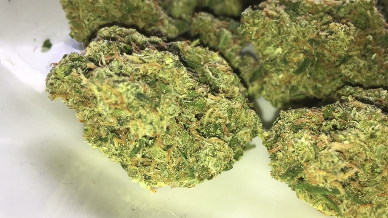 Bedrocan - Medical Cannabis In Europe.