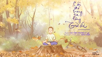 MINH NIỆM | Radio CHỈ TÌNH THƯƠNG Ở LẠI | Số phụ 1: CÒN ĐÓ TRONG TA LÒNG TỪ ÁI