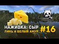 Русская рыбалка 4 #16 - Наживка: Сыр, Линь и Белый Амур