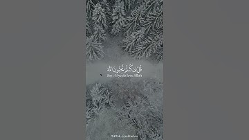 تلاوة القرآن الكريم قصير