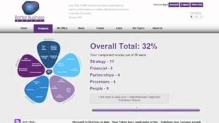 Business Diagnostic Tool