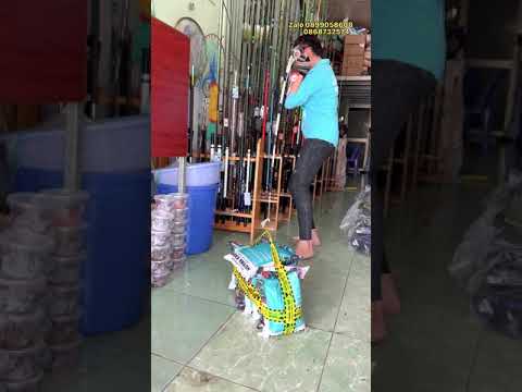 Video Cần câu cắm gốc đặc coastline cân cã thế giới, cần câu... - youtube