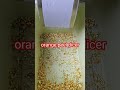 Orange peel dicer Machine #youtubeshorts #factoryproducts #machine #productionfacility