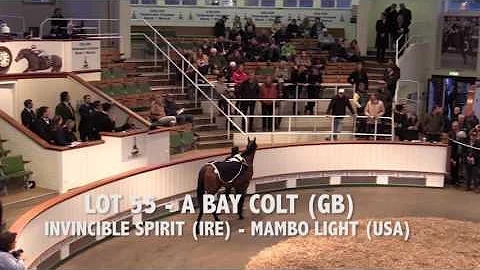 Tattersalls April Craven Breeze Up Sale 2016 Day 1