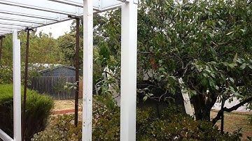 Allspan Steel Universal beam with welded cleats and columns