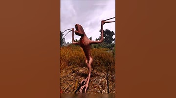 S.T.A.L.K.E.R.: G.A.M.M.A + Project: S.U.N.R.I.S.E #stalkeranomaly #stalkergamma