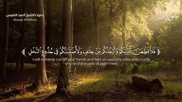 سوره طه القارئ أحمد النفيس#قرآن