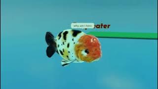 i ✋ have 😩 insecurities 🤪