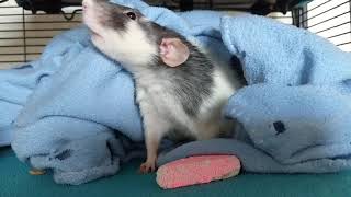 Jonnie Being Cute As Always