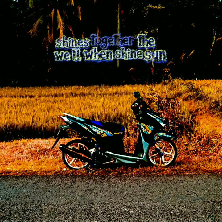 STORY WA HONDA VARIO