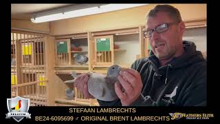 Be24 6095699 Stefaan Lambrechts