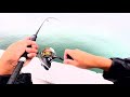 夏が旬の丸々したこの魚を釣りたかったんだよ。