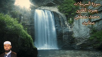 سورة المرسلات بصوت القارئ/ محمد مصطفى محاميد - Surat Al Mursalat