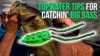 Topwater Tips for Catchin' Big Bass