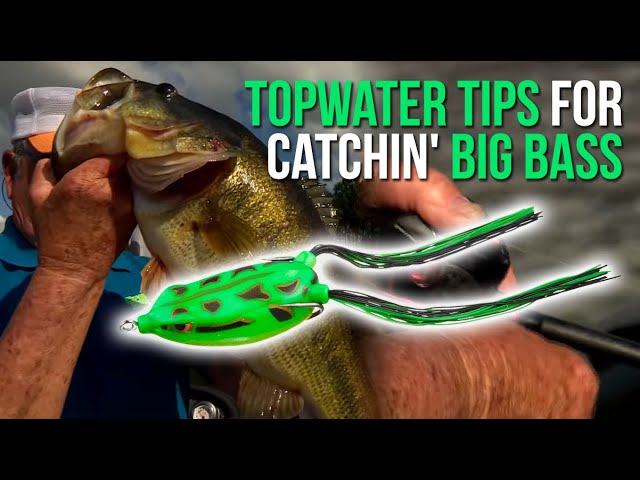 Bill Dance's Fishing Wisdom: 101 Secrets to Catching More and