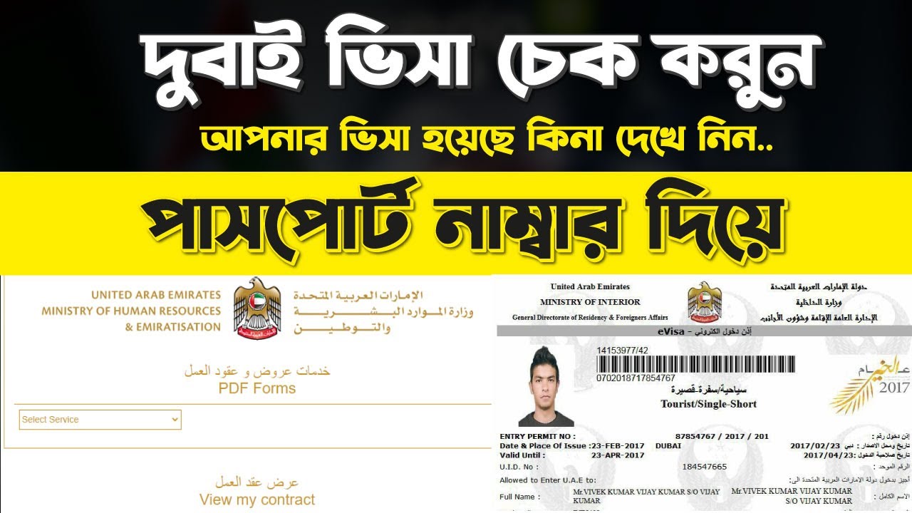 How To Check Dubai Visa By Passport Number Check Dubai UAE Visa 2024 how-to-check-dubai-visa-by-passport-number-check-dubai-uae-visa-2024