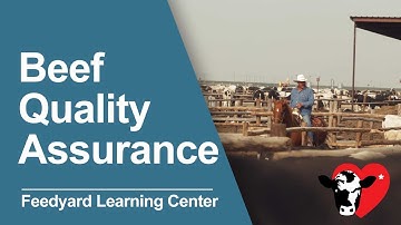 Beef Quailty Assurance