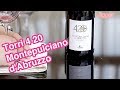 Torri 4 20 Montepulciano d'Abruzzo