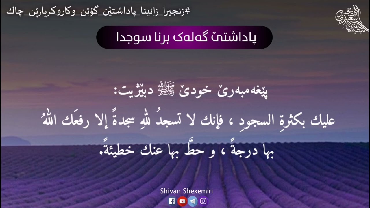 پاداشتێ گەلەک برنا سوجدا چییە؟