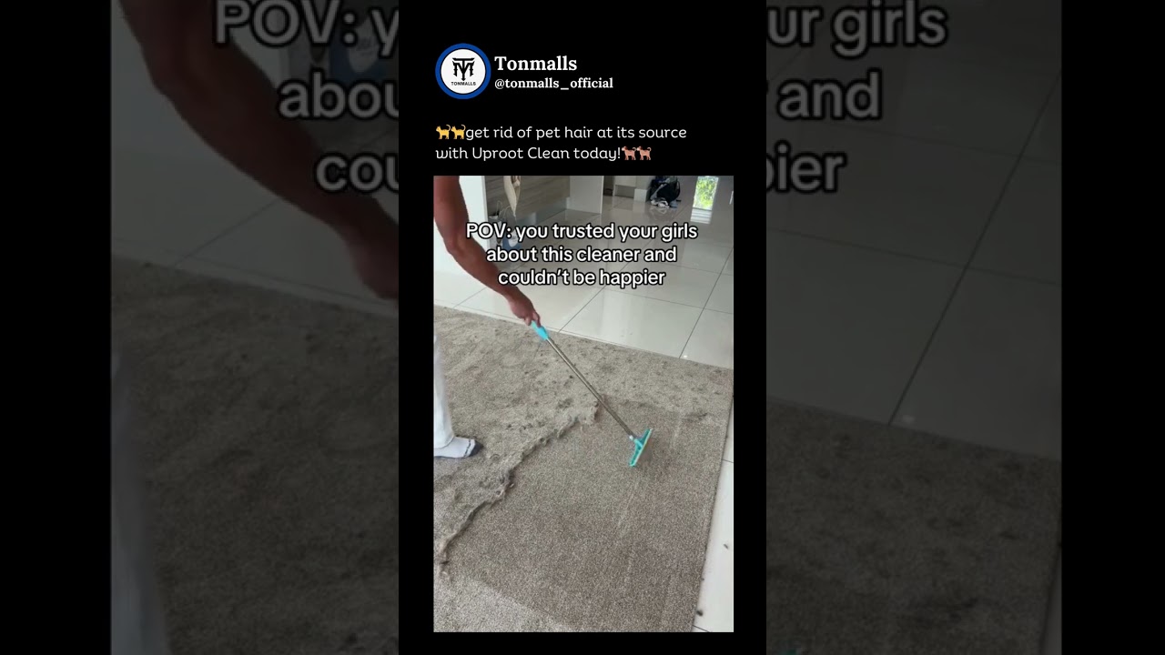 Efficient Pet Hair Removal with the Carpet Rake Set