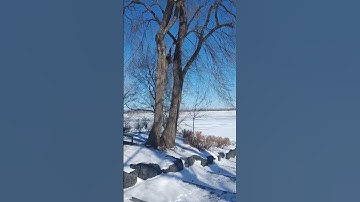 #قرآن_كريم. #سورة_القيامة. لا تحرك به لسانك لتعجل به