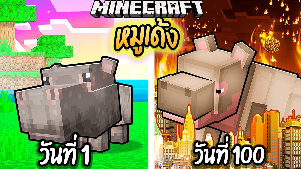 ผมเอาชีวิตรอด 100 วันโดยกลายร่างเป็น หมูเด้ง!【Minecraft】 - YouTube