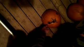 we smashed our rotten pumpkins