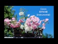 卯月の頃(instrumental)/Cocco