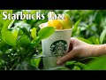 【スターバックス】ハッピーコーヒーミュージック - 仕事と勉強のためのリラックスできるジャズボサノバ - 朝聴きたいジャズソング 🌞🌞 起きて、最も快適な方法で毎日の仕事を始めましょう