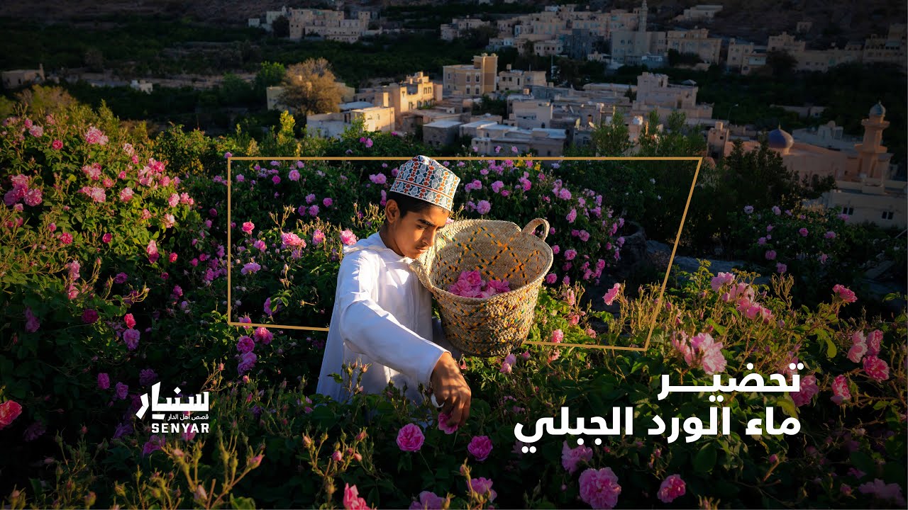 موسم الورد الجبلي | سنيار