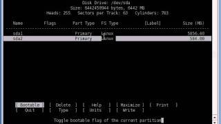 cfdisk_Partitioning.avi