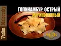 Рецепт Топинамбур маринованный острый или закуска из топинамбура. Мальковский Вадим