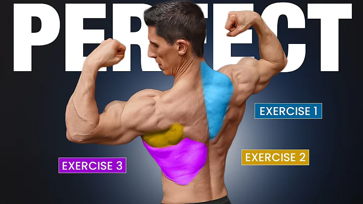 The PERFECT Back Workout (2025 EDITION)