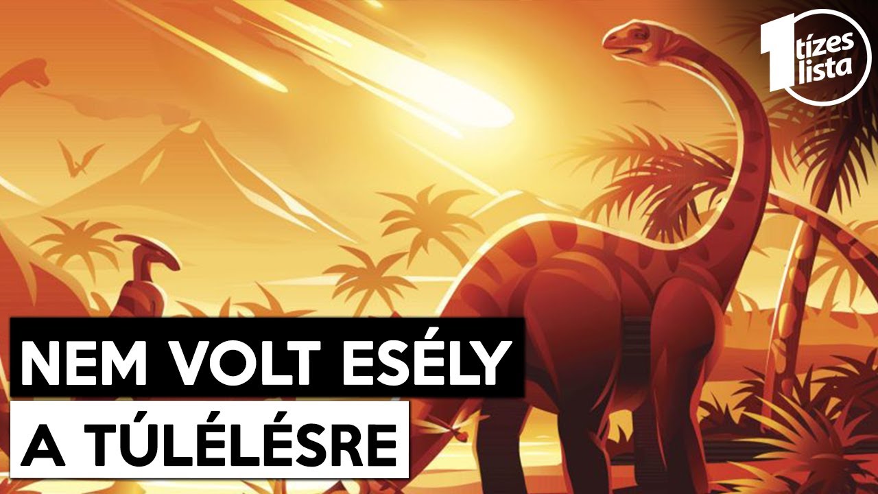 Mi történt, amikor kipusztultak a dinoszauruszok?