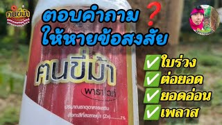 ตอบคำถามที่หลายๆคนสงสัย#ฅนขี่ม้า #พาราไวท์ @kiart_phatthalung