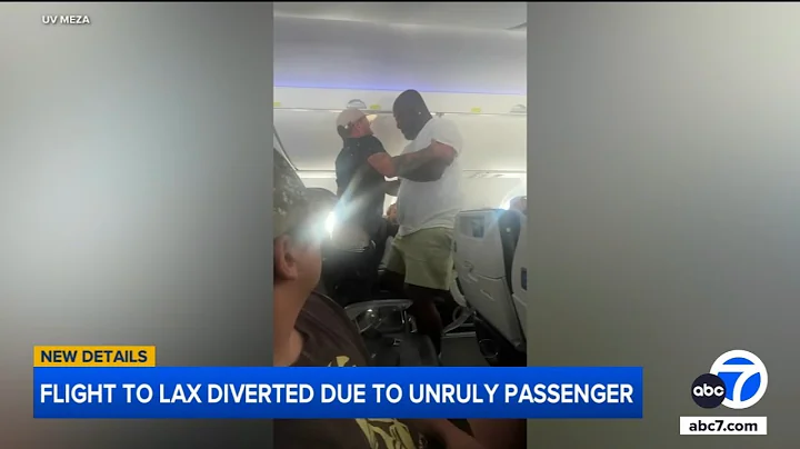 Unruly passenger yelling racist slurs restrained by man during flight to LA