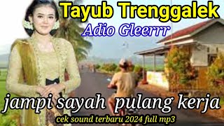 cek sound tayub terbaru 2024 bass gleerrr,tayub terop trenggalek