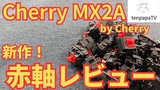 レビュー】Swagkeysで販売されているキースイッチ＆キーキャップ