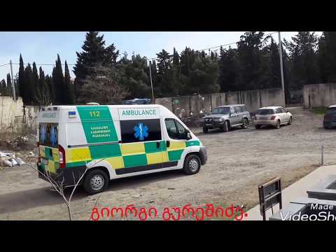 გიორგი გურეშიძე.