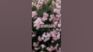 ما تيسر من سورة الشعراء #قرآن #اكسبلور #المصحف #explore #duet #edit