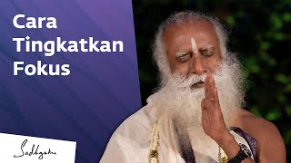 Download Lagu Cara Meningkatkan Fokus | Sadhguru Bahasa Indonesia MP3