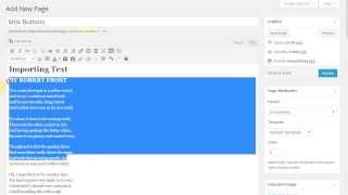 WordPress Basics - Miscellaneous Buttons