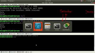Cliente Servidor TCP IP Netcat chat sincronico Captura paquetes wireshark