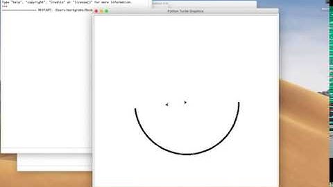 Python Turtle Draws a Circle
