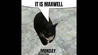 Maxwell Monday #dankmemes #memes #dogmemes #maxwellthecat #maxwell