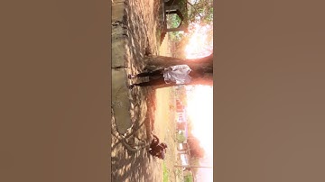 Thumbnail of Bewafa sanam re sad 💔🥀status #nagpurisong #nagpuri_status #explore #explorepage #bewafastatus