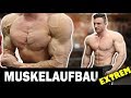 Das Beste 10 Minuten Brust Workout für Zuhause ohne Geräte!