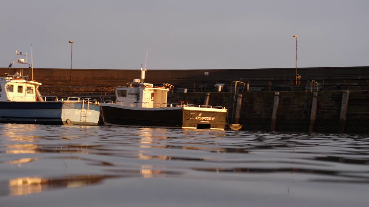 Beach Hotel Site Background